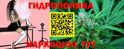 кокс Можга