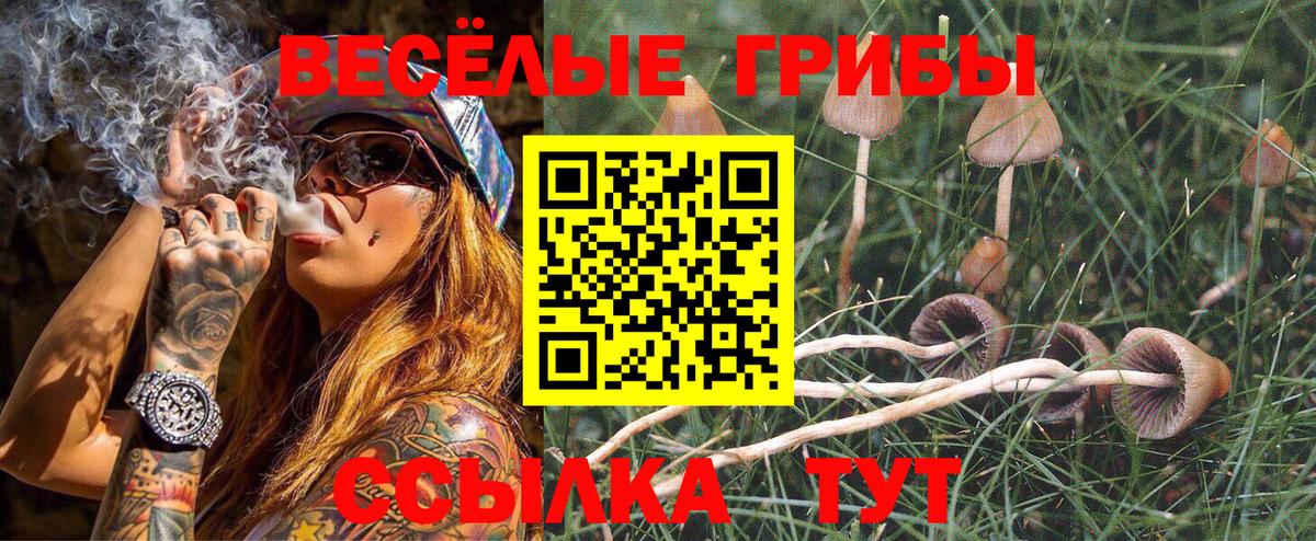 Галлюциногенные грибы ЛСД Сокол