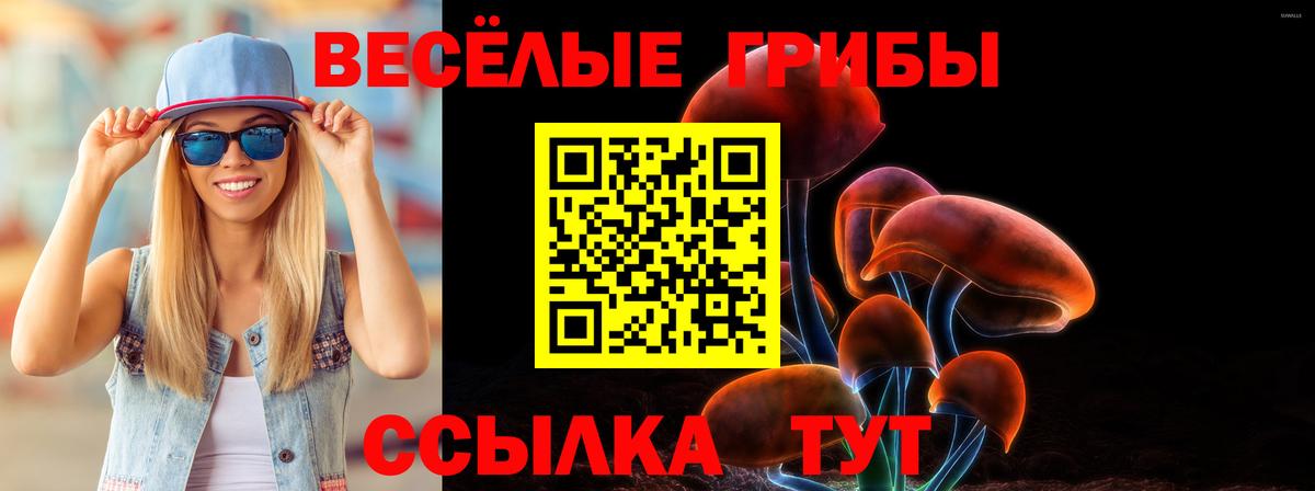 Сокол  Галлюциногенные грибы Cubensis  Вход с VPN  закладка  Псилоцибиновые грибы Magic Shrooms 
